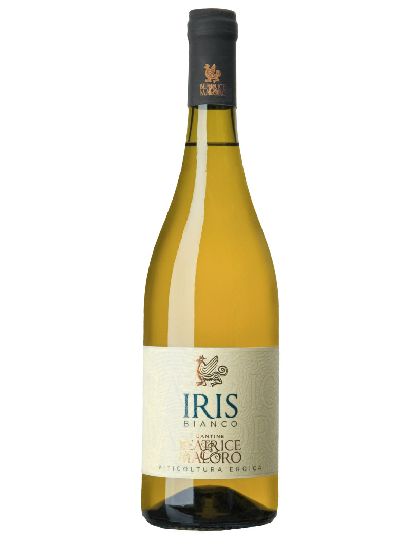 Iris - Cantine Beatrice Malòro