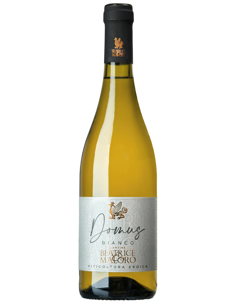 Domus Bianco